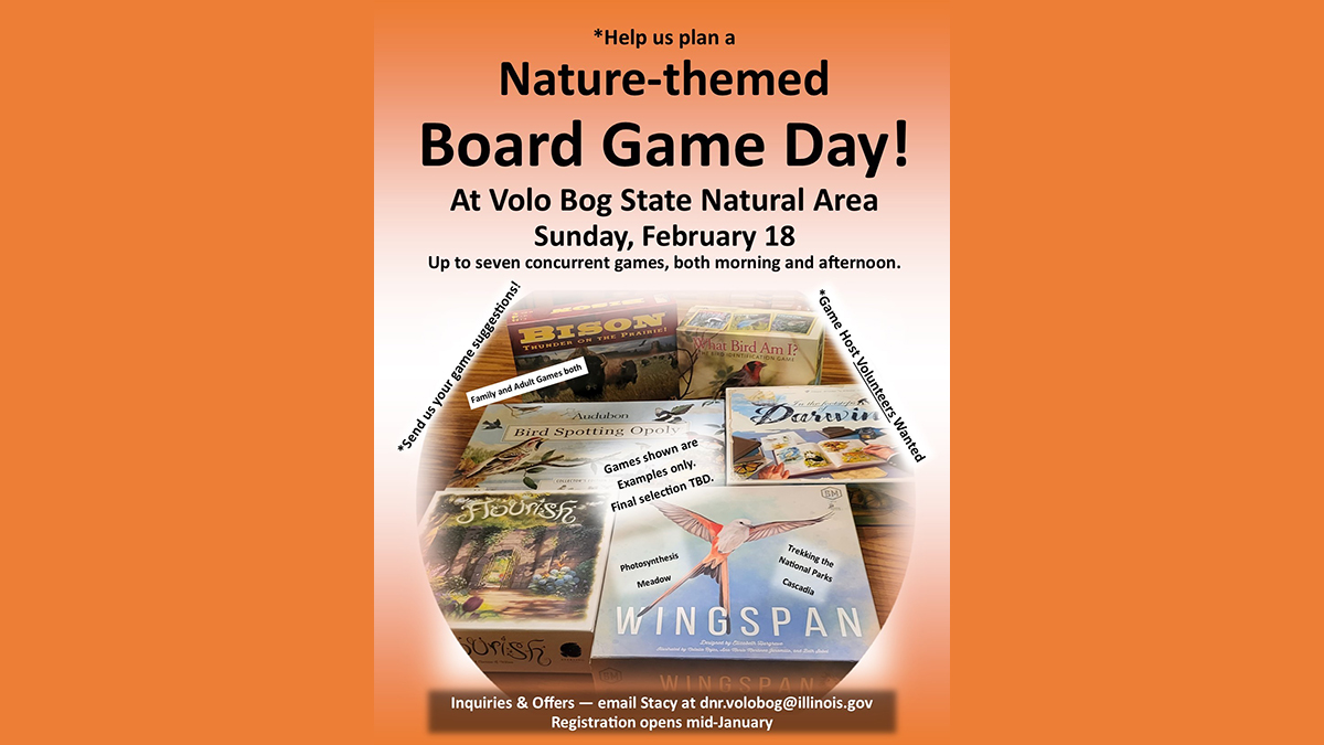 Nature-Themed Board Game Day at Volo Bog State Natural Area